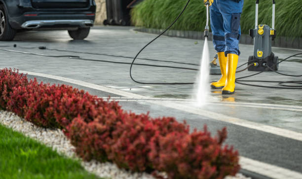 Boat and Dock Cleaning in San Carlos, TX